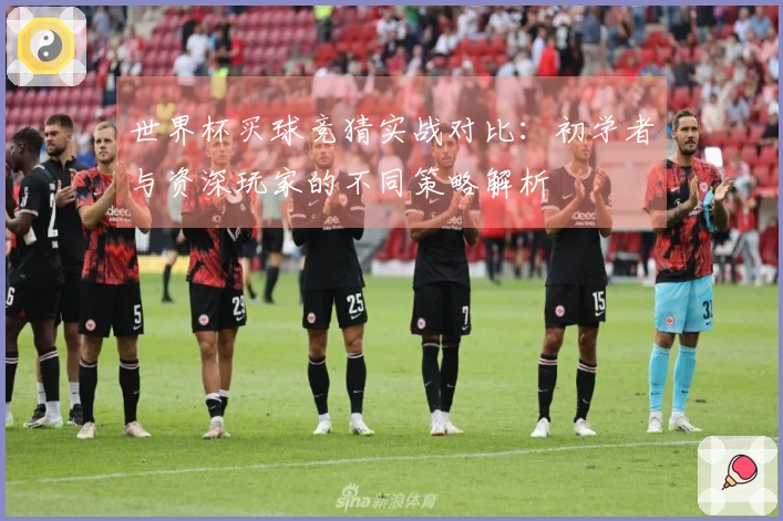世界杯买球竞猜实战对比：初学者与资深玩家的不同策略解析