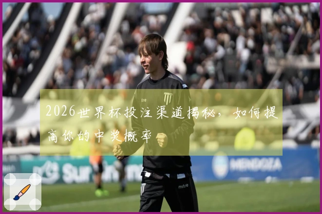 2026世界杯投注渠道揭秘，如何提高你的中奖概率