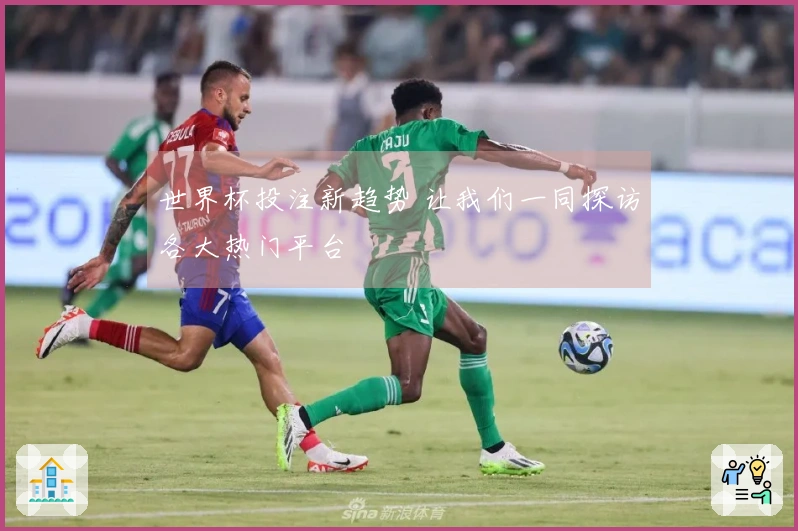 世界杯投注新趋势 让我们一同探访各大热门平台