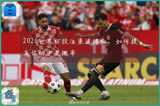 2026世界杯投注渠道揭秘，如何提高你的中奖概率