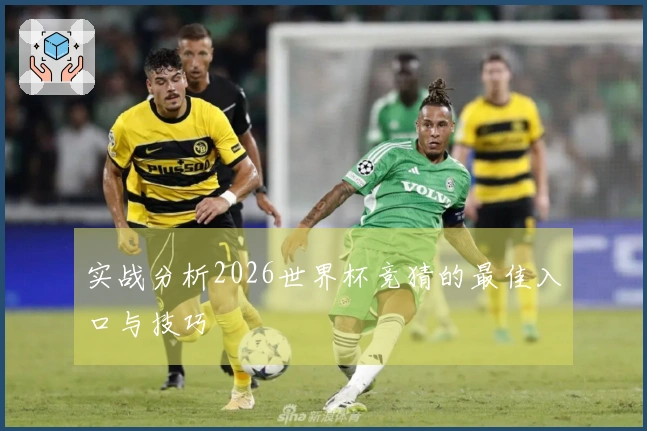 实战分析2026世界杯竞猜的最佳入口与技巧